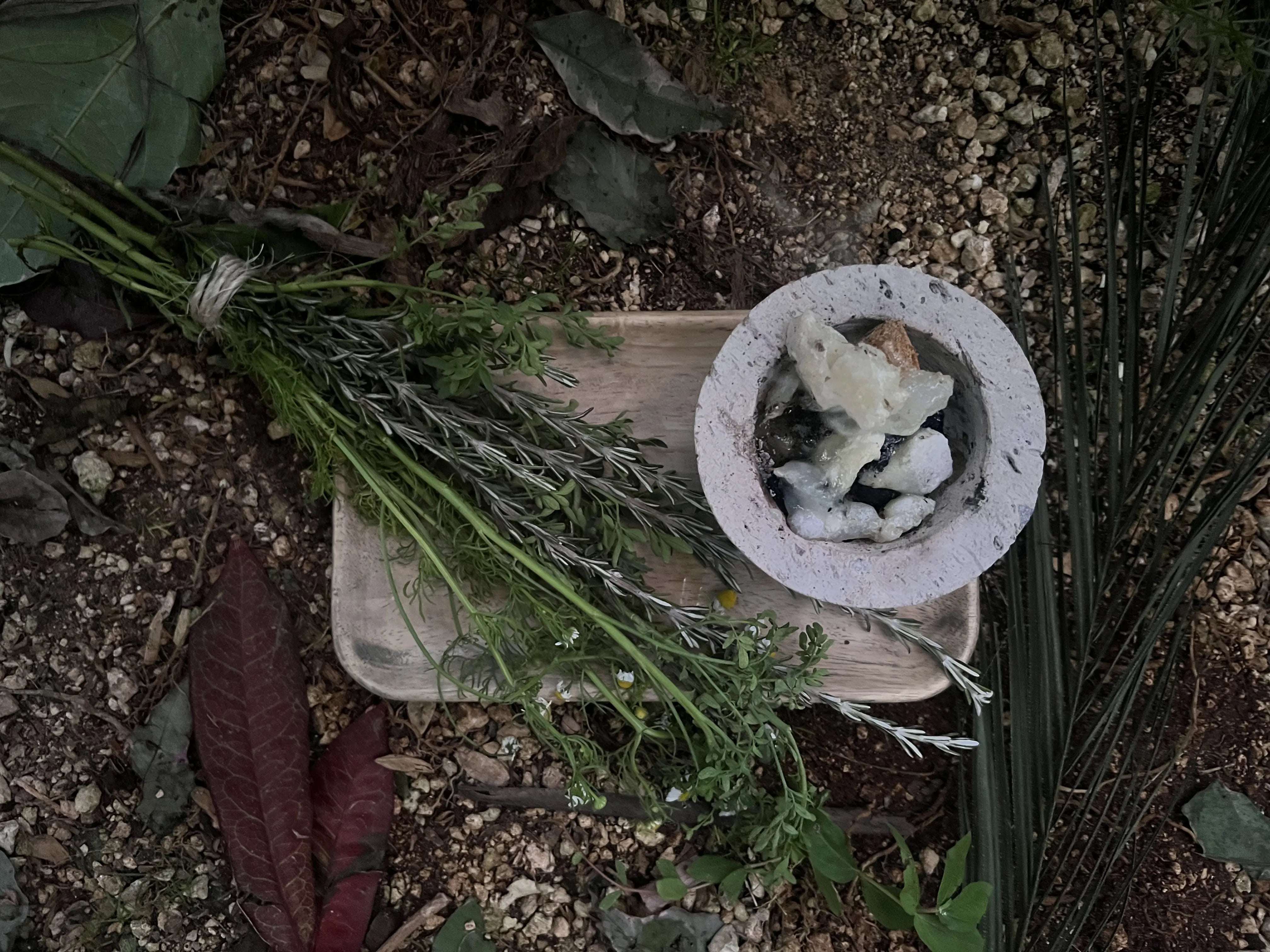 Ritual herbs and raw white copal in a stone bowl on natural ground, representing KI'OLAL's sacred roots