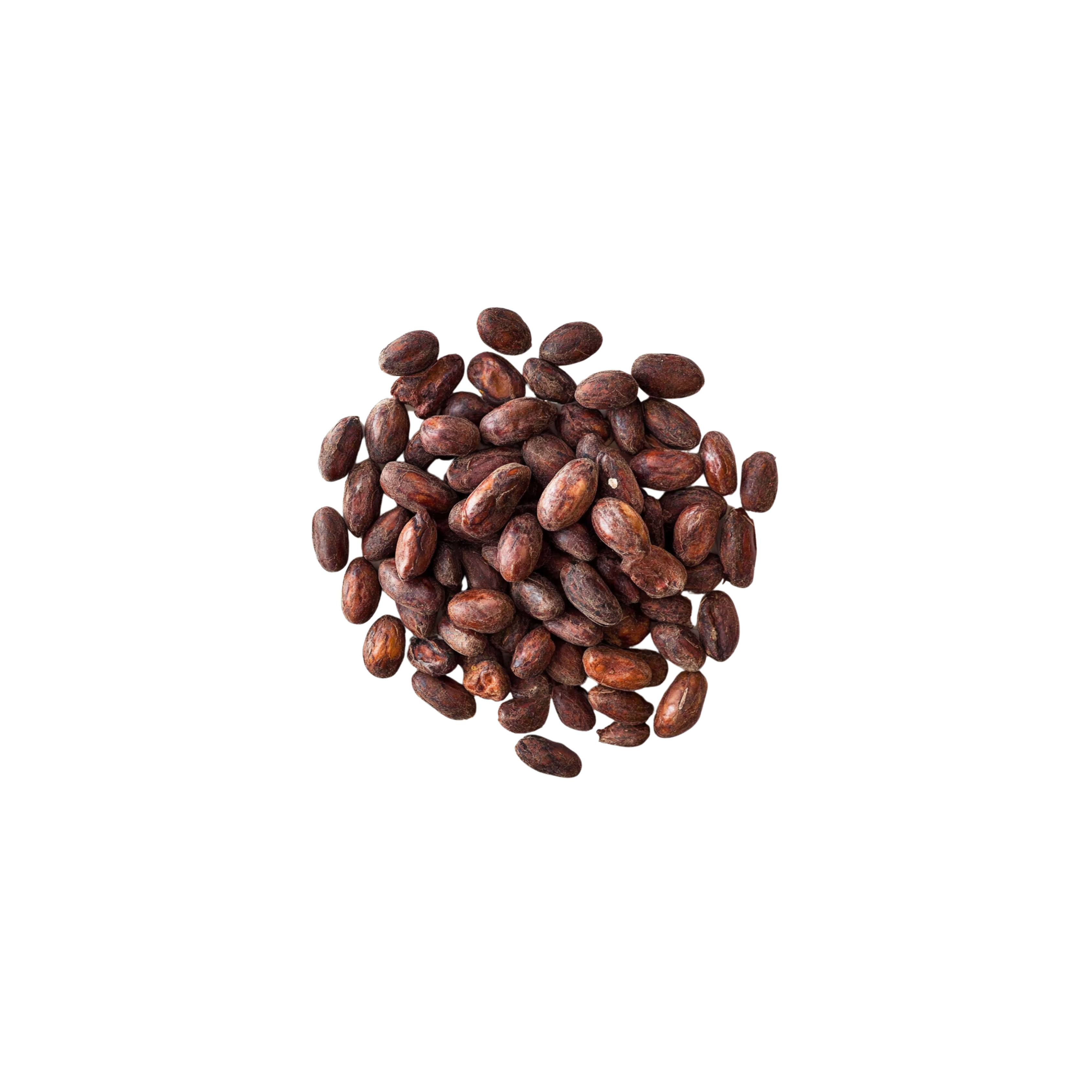 COCOA FRUIT
