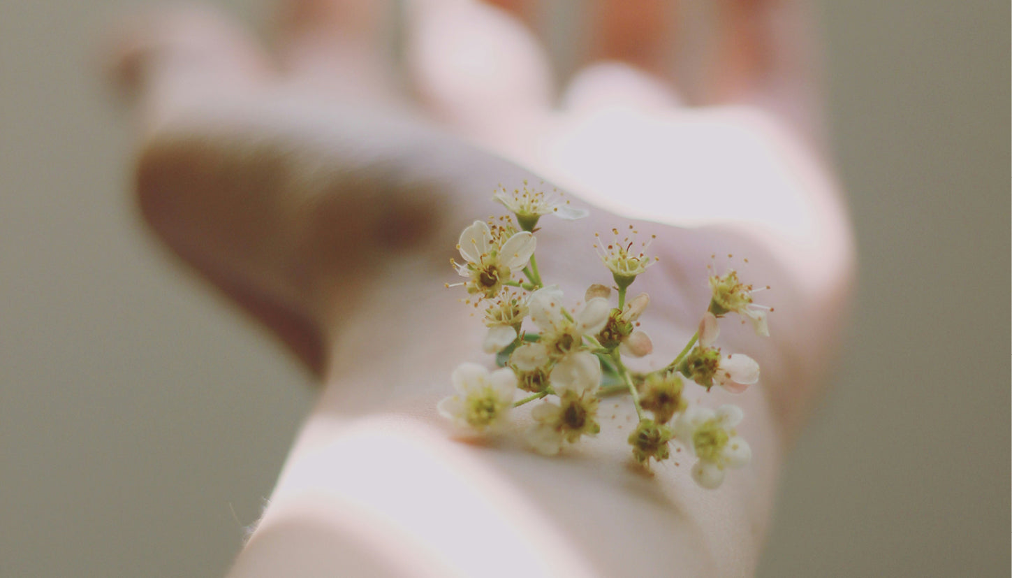 Touch